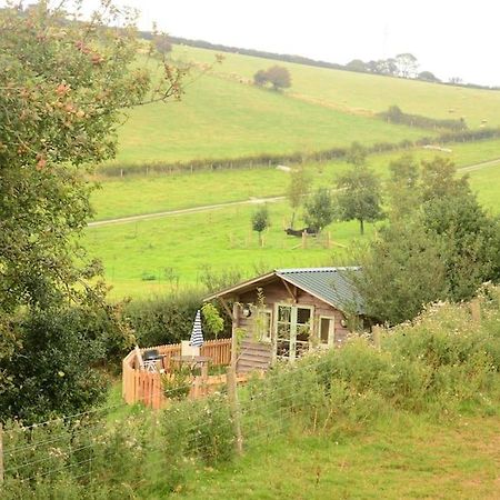 Woolcombe Cabin East Allington Kültér fotó